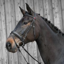 Kieffer Ergonomic Line Snaffle