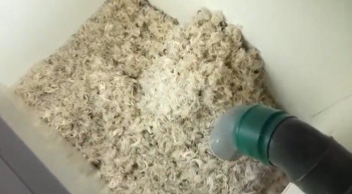 Sheeps wool insulation - sheeps,