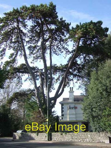 Photo 6x4 residential home - 6x4,