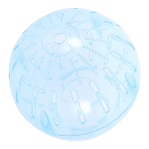 Sky blue hamster running - running, ball
