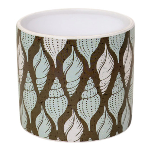 Tulip shell pot h12 5cm - shell, h12.5cm
