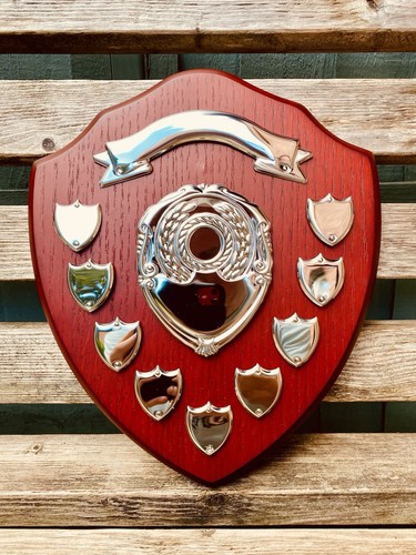 Big silver trophy - big, shield