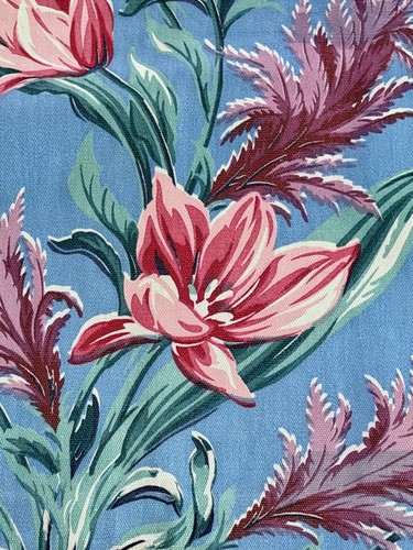 Parrot tulips sky blue - parrot,