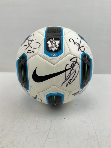 2010 tottenham hotspur - 2010/11,