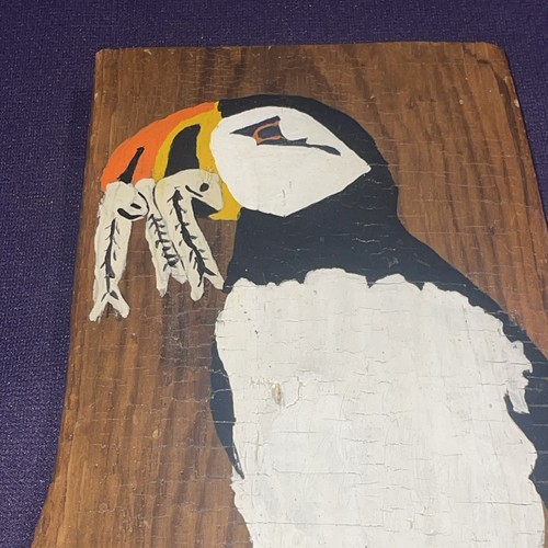 One kind puffin eating - of,
