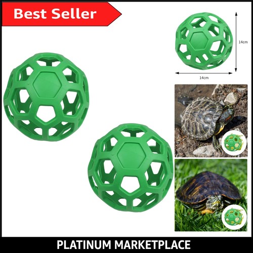 Green tortoise feeding - green,