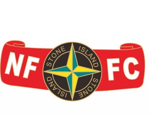 Nottingham forest pin badge - forest,