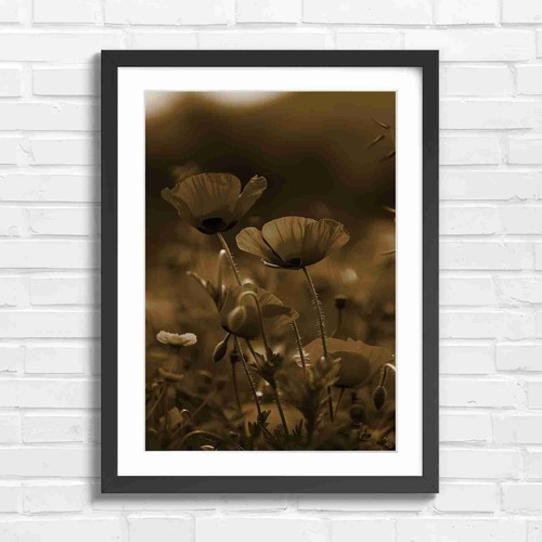 Vibrant red poppy field - vibrant, blooms