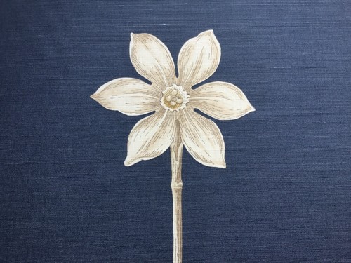 Sanderson curtain fabric