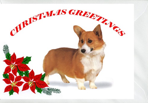 Welsh corgi dog christmas - welsh,