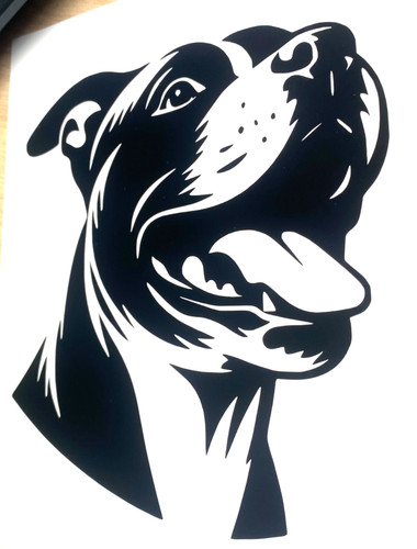 Staffordshire bull terrier - bull,