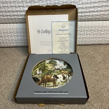 Wedgwood Collectible Plate