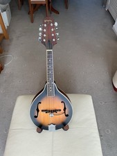 Redwood Pilgrim A50AV Electro