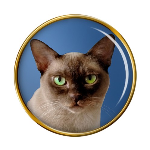 Burmese cat lapel pin - burmese,