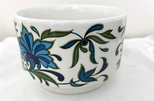 Midwinter spanish garden - ,