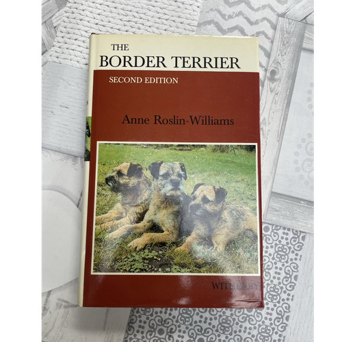 The border terrier anne - border,