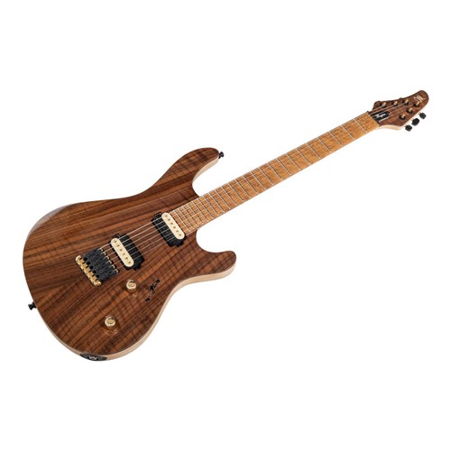 Mayones regius custom master - custom,