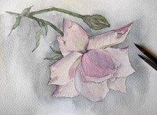 Original Artwork Modern Painting Landscape FLOWERS PINK ROSE Floral Arts Gift A5