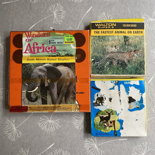 Super wildlife documentary - 8,