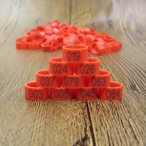 Bird leg rings numbered - bird,