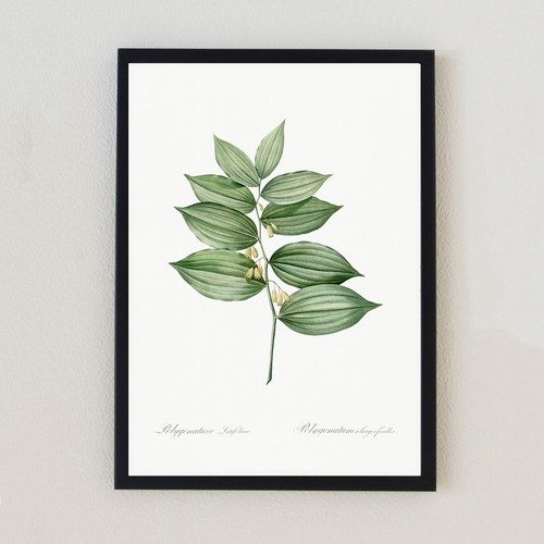 Botanical vintage plant - botanical,
