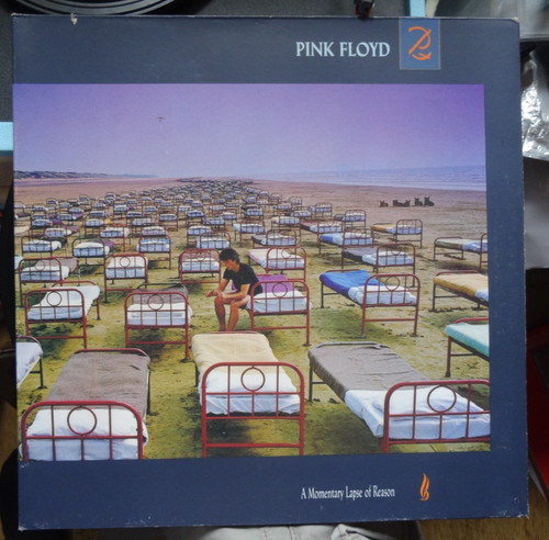 Pink floyd momentary - pink,