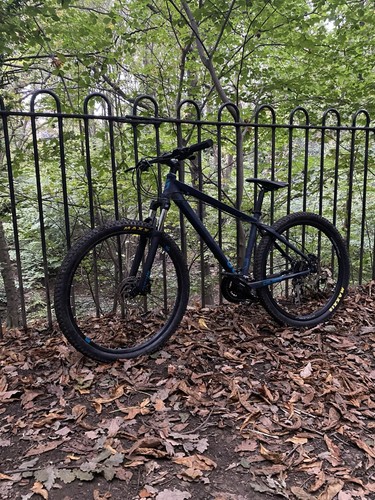 Blue hardtail mountain bike - blue,