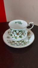 Queen's Rosina China Co Tea