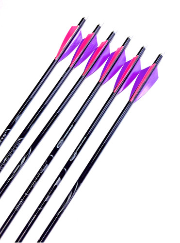 Nasp genesis youth arrows - nasp,