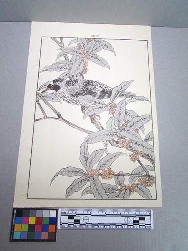 Woodblock print - woodblock,