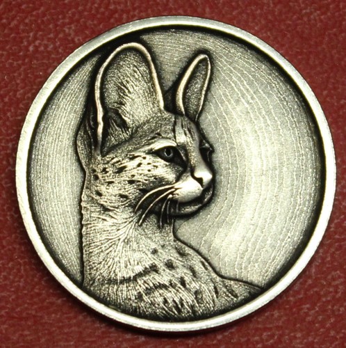 Hobo nickel african serval - nickel,