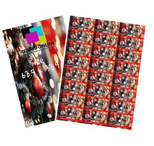 VivaMK  Christmas Robin