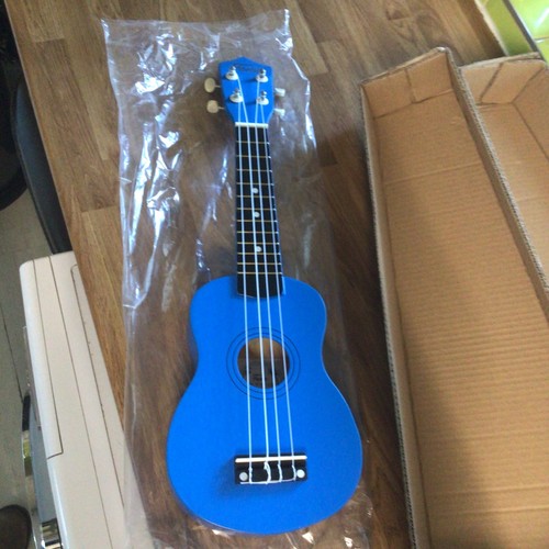 Ukulele blue colour - in, model