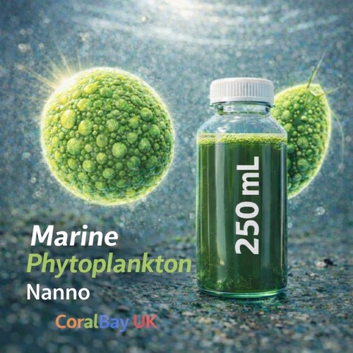 Marine phytoplankton nanno