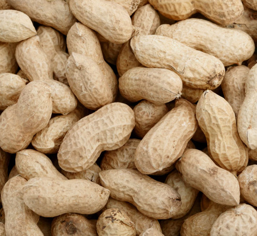 Love your pet peanuts - pet,