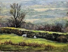 Sheep in Northern English