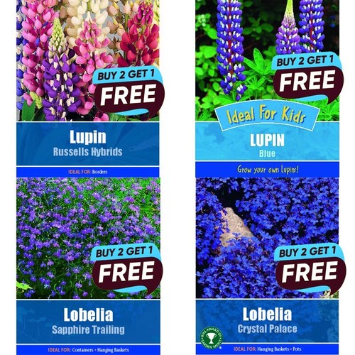 Flower seeds grow your - uk, own