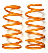 Rear Coil Spring Pair For