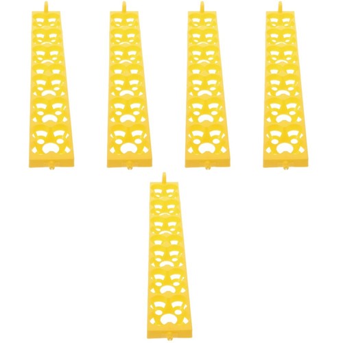5pcs poultry eggs - poultry,