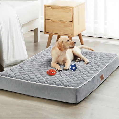 Orthopedic dog bed - bed, for