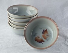 DENBY Stoneware TWILIGHT x6