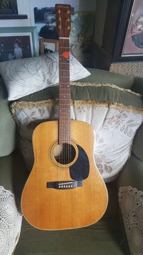 Norman studio acoustic - norman,