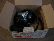 117209256R V-Ribbed Timing