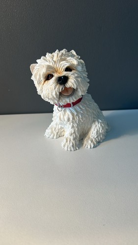 West highland white terrier - white, terrier."