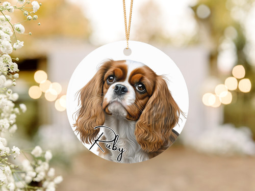 Cavalier king charles dog - cavalier,