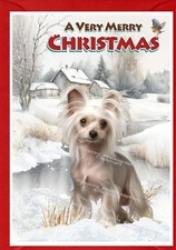 Chinese Crested Dog A6 (4" x