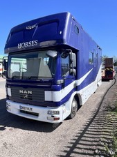 Gray Coach Built Man Horsebox
