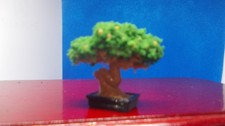 small bonsai tree for a dolls