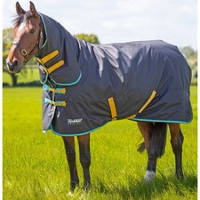 Shires Tempest Original 300