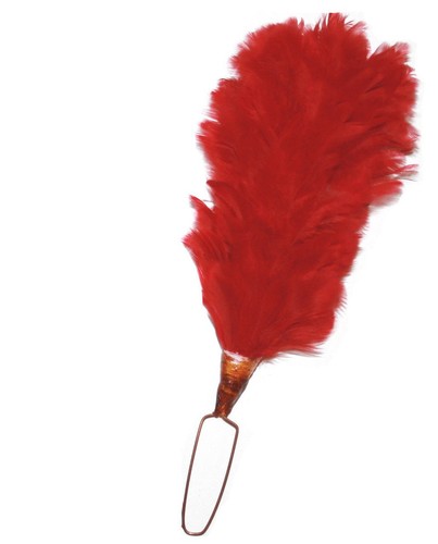 Plume feather hackle for - plume,